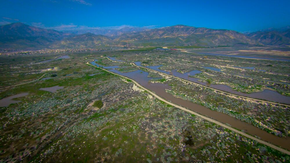 Notice of Holiday Closures