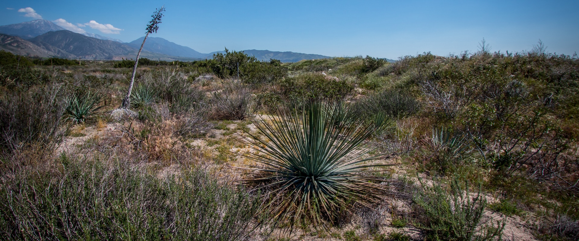 sbvwcd-plunge-creek-header